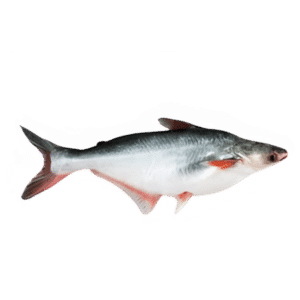 TMPL Imported Basa Silver Fish