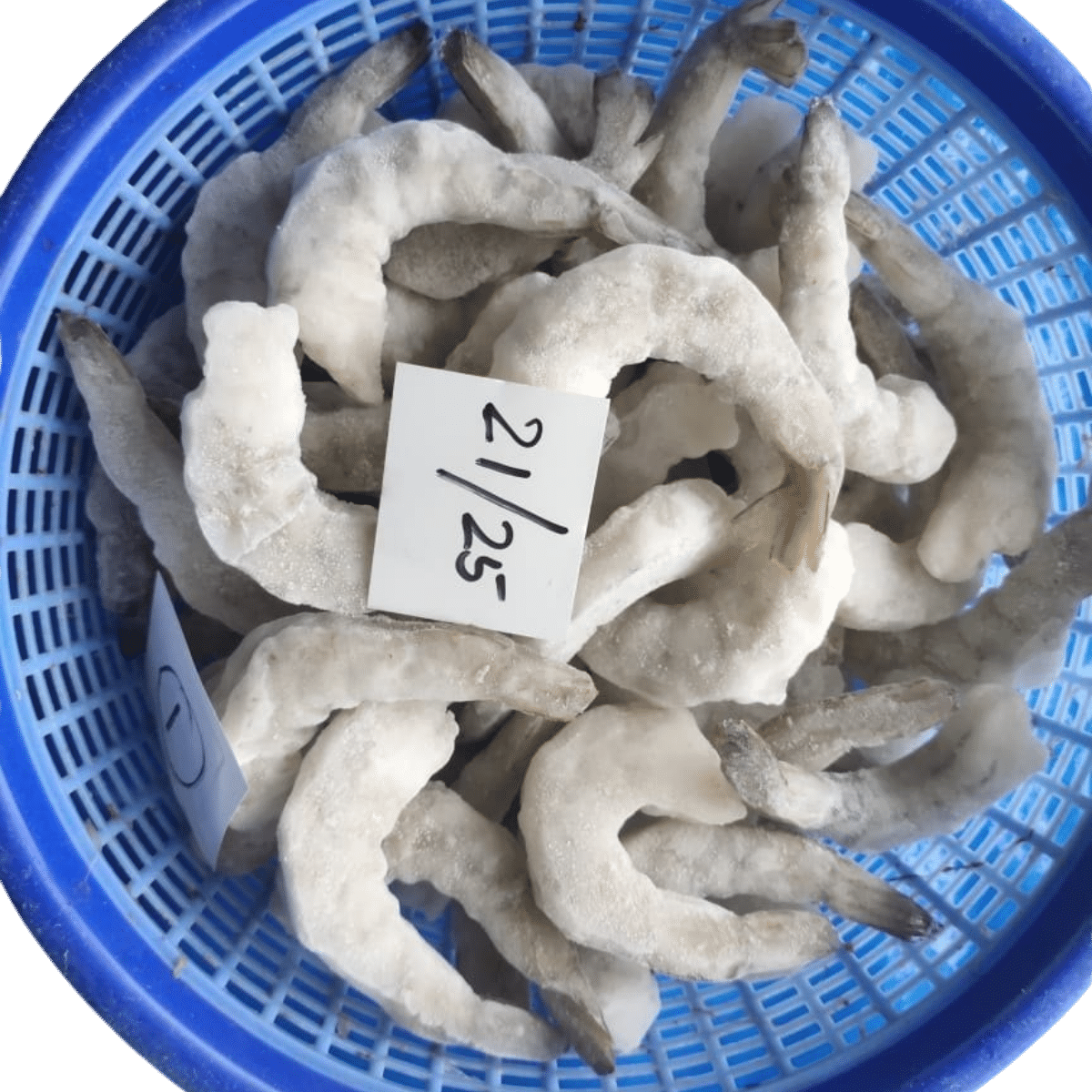 POULSEA PRAWMS PDTO 21/25 Fish