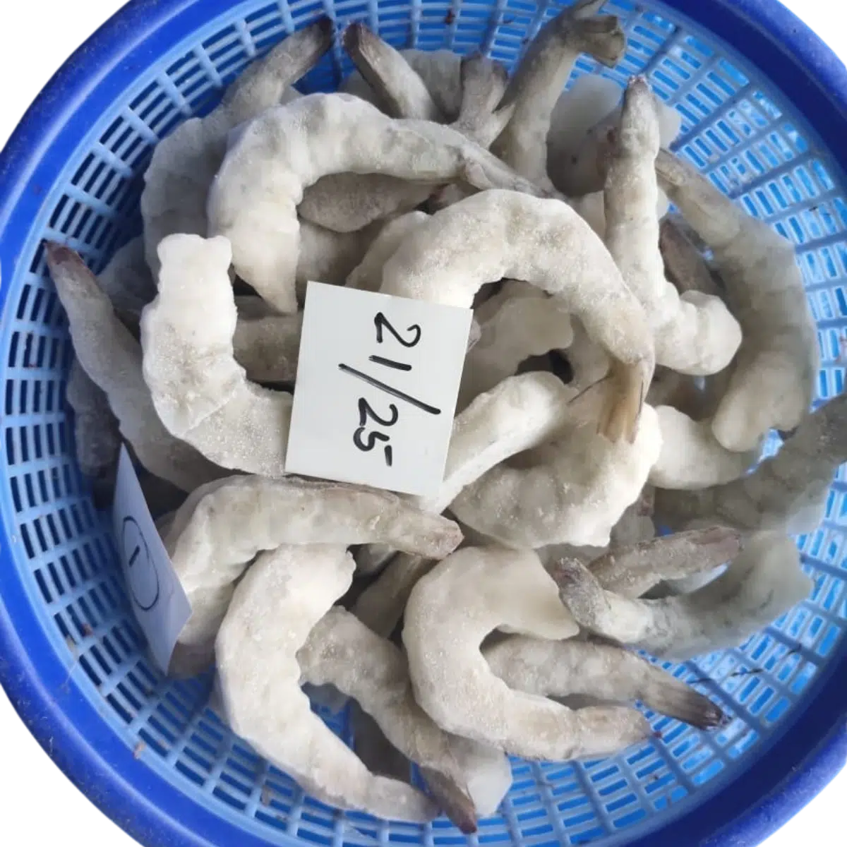POULSEA PRAWMS PDTO 21/25 Fish