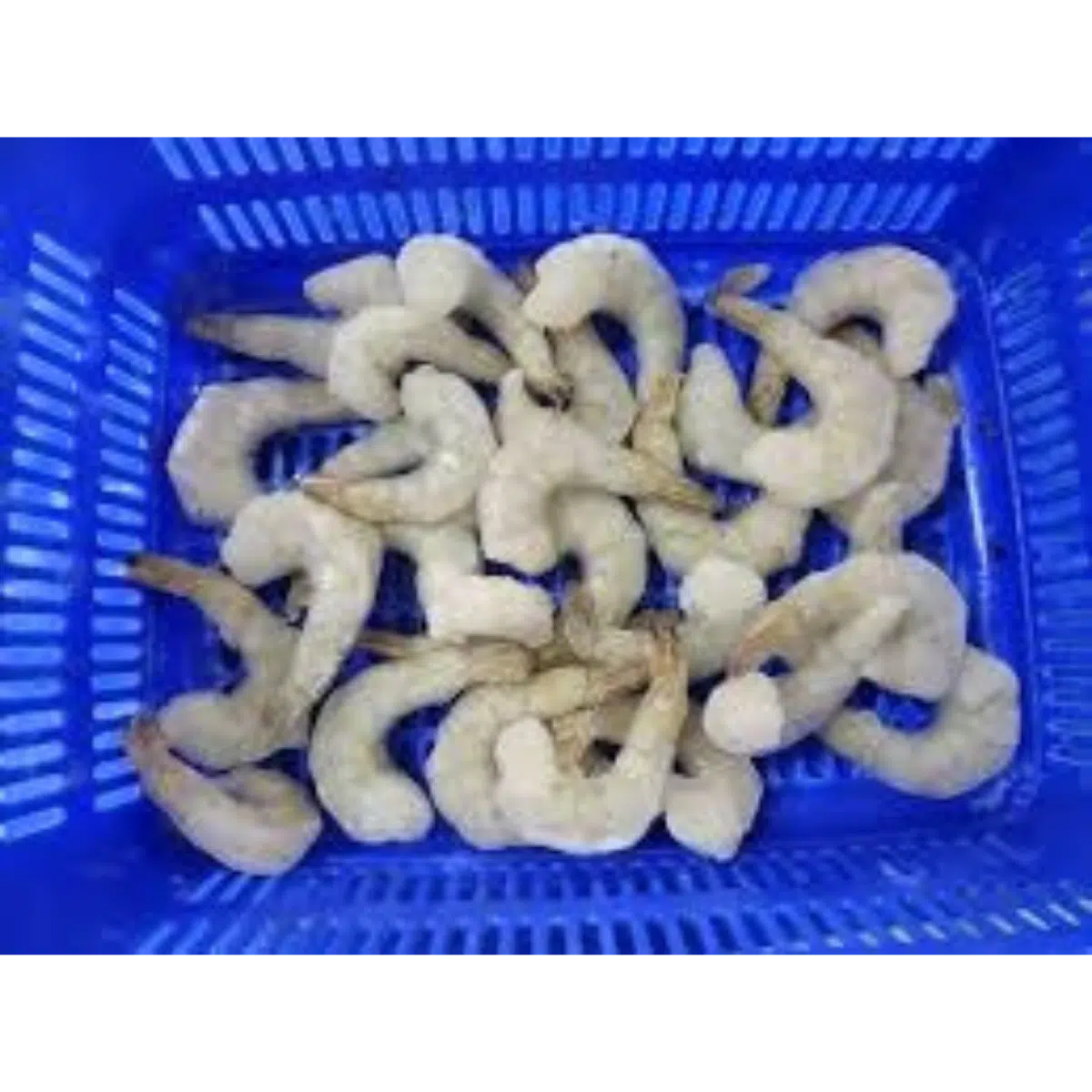 POULSEA PRAWNS PDTO 13/15 Fish