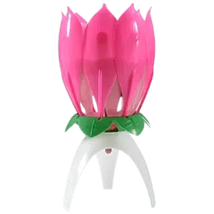 Lotus candle